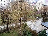 20120404-3s.jpg