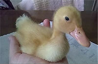 20120514-1s.jpg