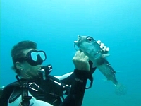 20120606-3s.jpg