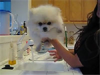 20120608-5s.jpg