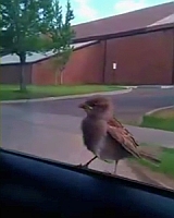 20120705-3s.jpg