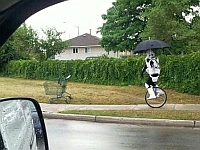 20120719-4s.jpg