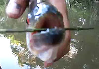 20120720-4s.jpg