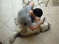 20120817-3s.jpg