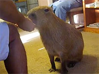 20120824-5s.jpg
