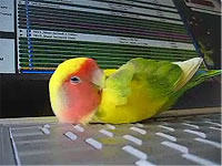 20120831-4s.jpg