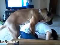 【リンク切れ】女の子が犬に犯されそうになっている動画集