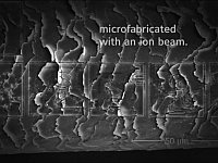 1本の髪の毛に12コマも描かれた世界最小のマンガが凄い