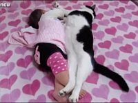 赤ちゃんと仲良く寝てる犬や猫が可愛い