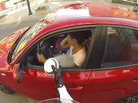 ゴミのポイ捨てをするドライバーに正義の鉄槌を下す過激なヒーロー現る