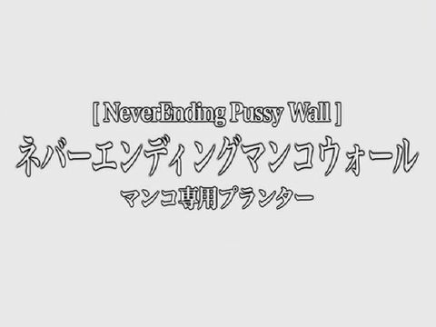 tokyo pussy land