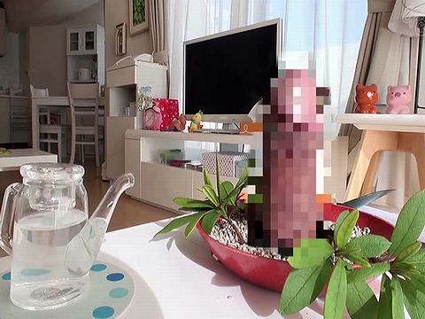 生チ○ポ飼育日記 紺野ひかる