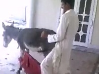 【リンク切れ】ロバとエッチする男性