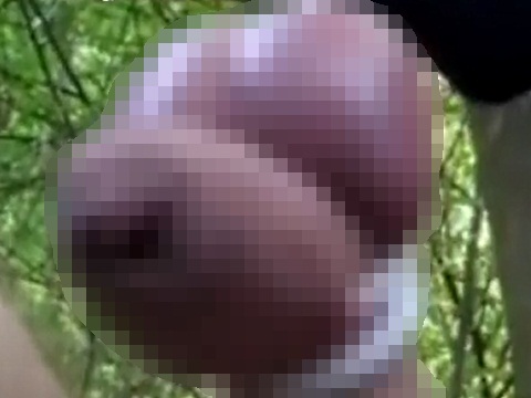 ペニスとキンタマをくくって木からぶら下がる変態男