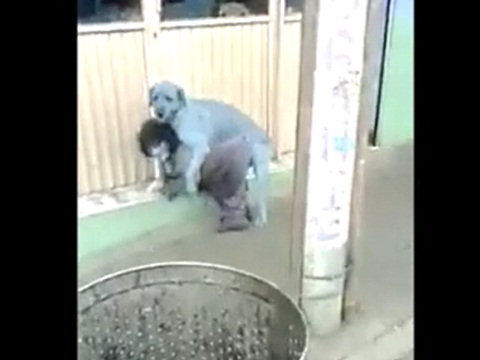 ワンちゃんにレイプされそうになる小人症の男性