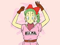 Dragon Ball　ドラゴンボールの女性キャラたちに中出しするエロフラッシュ