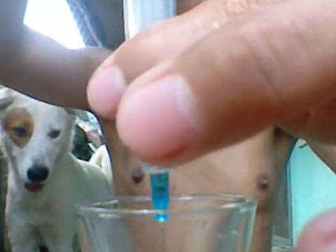 犬の小便を胸に注入したり飲む変態男