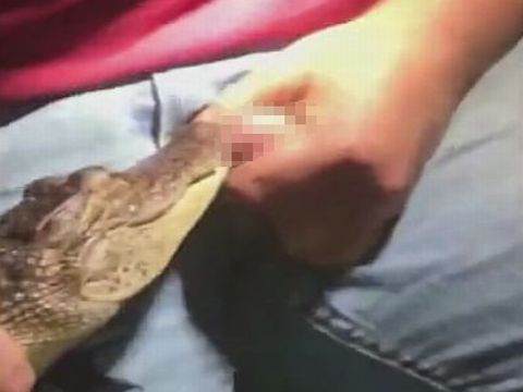金玉をワニに噛ませて大悶絶するアメリカ人のアホ男