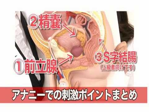 セクシー女医とナースがアナニー初心者のために知識とテクニックを解説するHowTo動画 堀口奈津美 早乙女ルイ 村西まりな 水城奈緒 妃乃ひかり 広瀬奈々美