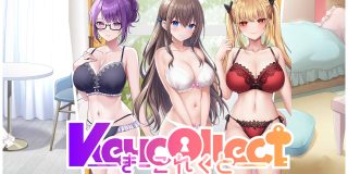 きーこれくと（Keycollect）
